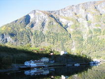 2011.JPG